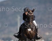 Curcio Carry Money TosTour2013- S5 2916 : Arezzo, Arezzo Equestrian Centre, Carry Money, Curcio Serena, Toscana Tour 2013, foto di Stefano Secchi ©